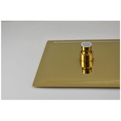 Ducha Chuveiro Inox 20X20 Dourado Braço Quadrado
