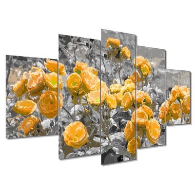 Kit 5 Placa Quadro Flores Vermelha Titulos Rosas Amarelas
