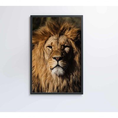 Quadro Leão 60x90 Cm Adesivo Fotográfico