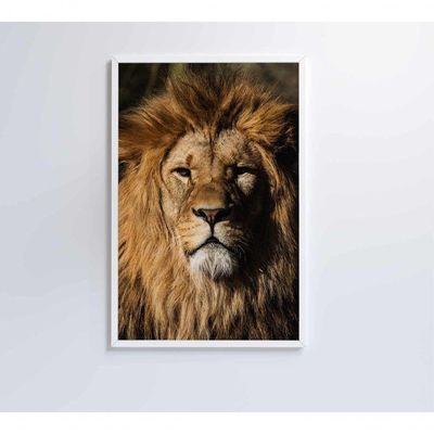 Quadro Leão 60x90 Cm Adesivo Fotográfico
