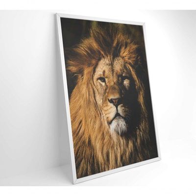 Quadro Leão 60x90 Cm Adesivo Fotográfico