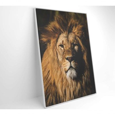Quadro Leão 60x90 Cm Adesivo Fotográfico