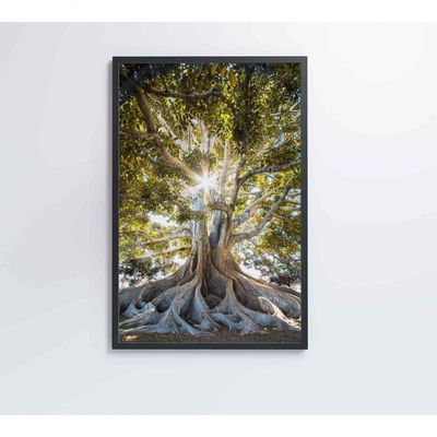 Quadro árvore 80x120 Cm Adesivo Fotográfico