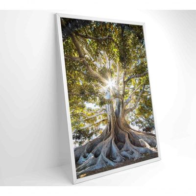 Quadro árvore 80x120 Cm Adesivo Fotográfico