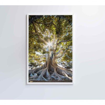 Quadro árvore 80x120 Cm Adesivo Fotográfico