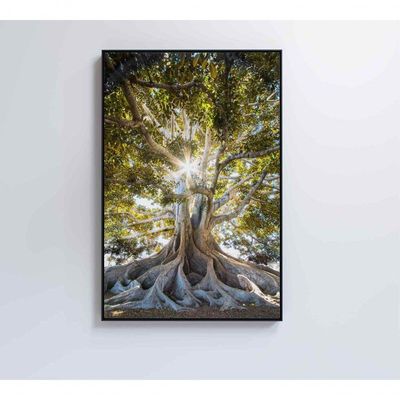 Quadro árvore 80x120 Cm Adesivo Fotográfico
