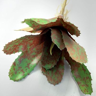 Kit 6 Pçs Bromélia Elegante Planta Artificial 8 Folhas 21cm