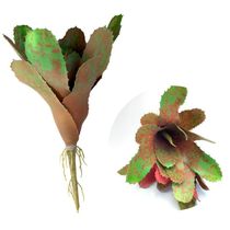 Kit 6 Pçs Bromélia Elegante Planta Artificial 8 Folhas 21cm
