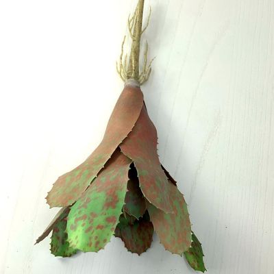 Kit 6 Pçs Bromélia Elegante Planta Artificial 8 Folhas 21cm
