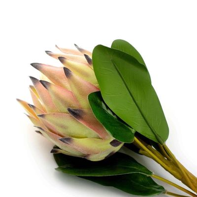 Haste De Flor Artificial Protea Frosted Com Coat Salmão 70 Cm F04 - D'rossi