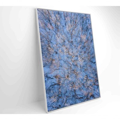 Quadro árvores Secas Neve 60x90 Cm Adesivo Fotográfico