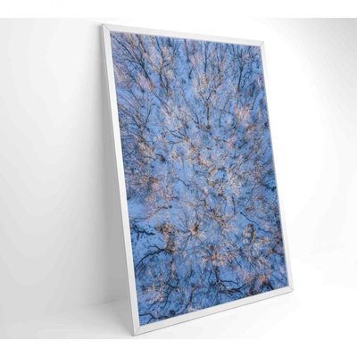 Quadro árvores Secas Neve 60x90 Cm Adesivo Fotográfico