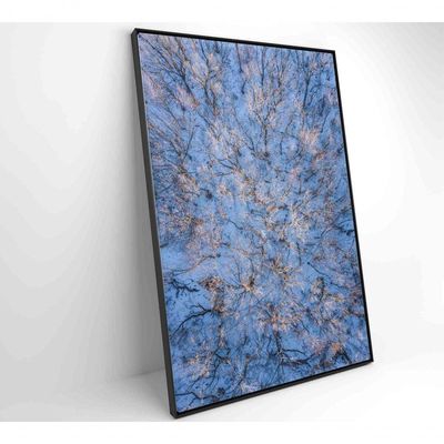 Quadro árvores Secas Neve 60x90 Cm Adesivo Fotográfico