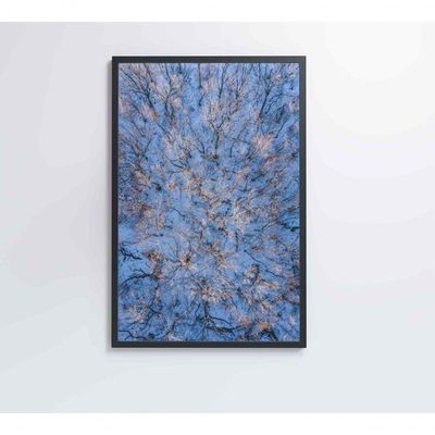 Quadro árvores Secas Neve 60x90 Cm Adesivo Fotográfico