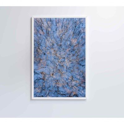 Quadro árvores Secas Neve 60x90 Cm Adesivo Fotográfico