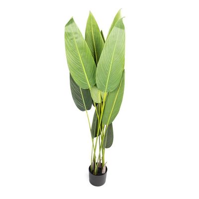 Planta Artificial Estrelícia Folhas Com Pote X12 Verde 130 Cm F04 - D'rossii