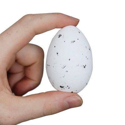 Kit Enfeites Decorativo Bandeja De Ovos De Páscoa Isopor