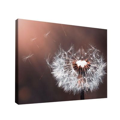Quadro Decorativo Dente-de-leão