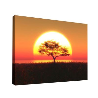 Quadro Decorativo árvore No Pôr Do Sol