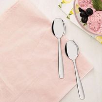 Kit 48 Colheres para Sorvete Aço Inox Tramontina Amazonas Servir Sobremesa Doces