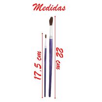 Kit 6 Pincéis Japonês Para Pintura Artística Escolar