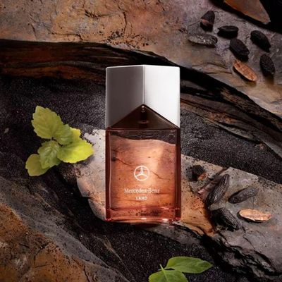 Perfume Asl Land Mercedes Benz Edp Masculino 100ml.