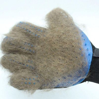 Luva Magnética Tira Pelos Para Cães E Gatos