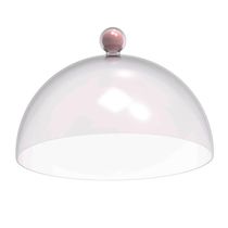 Kit 8 Cúpulas Plásticas 30cm Rosa para Bolo Torta Doces Hotel Confeitaria Bubble Crippa