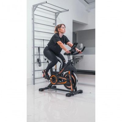 Bicicleta Spinning Evolution Fitness Sp 300