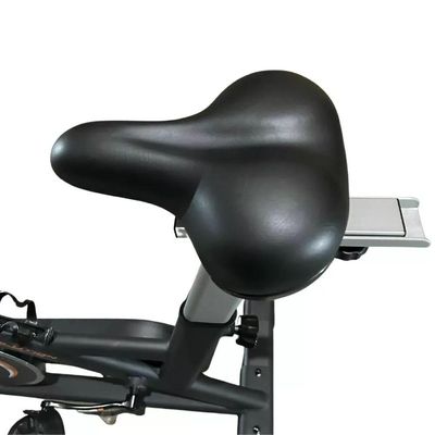 Bicicleta Spinning Evolution Fitness Sp 300