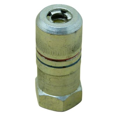 Bico Engraxadeira Schweers 182g Grande