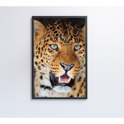 Quadro Decorativo Onça Pintada 60x90 Cm Adesivo Fotográfico