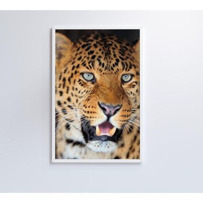 Quadro Decorativo Onça Pintada 60x90 Cm Adesivo Fotográfico