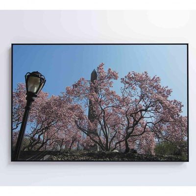Quadro árvore Cerejeira 2 120x80 Cm Adesivo Fotográfico