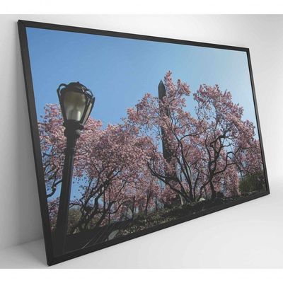 Quadro árvore Cerejeira 2 120x80 Cm Adesivo Fotográfico