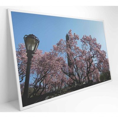Quadro árvore Cerejeira 2 120x80 Cm Adesivo Fotográfico
