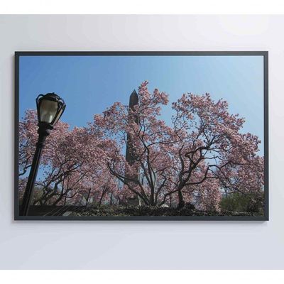 Quadro árvore Cerejeira 2 120x80 Cm Adesivo Fotográfico