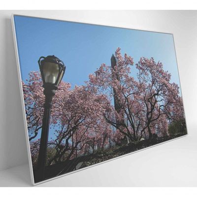 Quadro árvore Cerejeira 2 120x80 Cm Adesivo Fotográfico