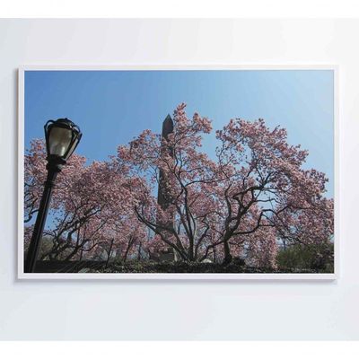 Quadro árvore Cerejeira 2 120x80 Cm Adesivo Fotográfico