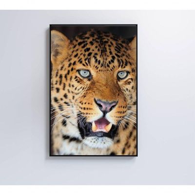 Quadro Decorativo Onça Pintada 40x60 Cm Adesivo Fotográfico