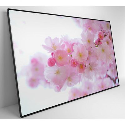 Quadro Flores Cerejeira 60x40 Cm Adesivo Fotográfico