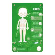 Quebra-cabeça Steam Conhecendo O Corpo Humano 60 Peças 50498 Xalingo