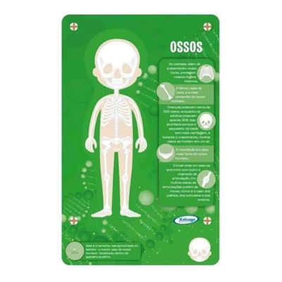 Quebra-cabeça Steam Conhecendo O Corpo Humano 60 Peças 50498 Xalingo