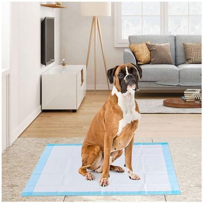 Tapete Higiênico Cão Cachorro Absorvente Treinamento