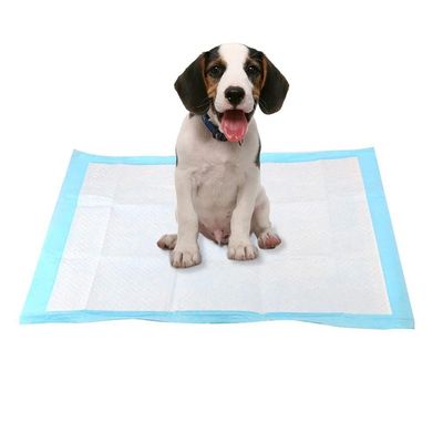 Tapete Higiênico Cão Cachorro Absorvente Treinamento