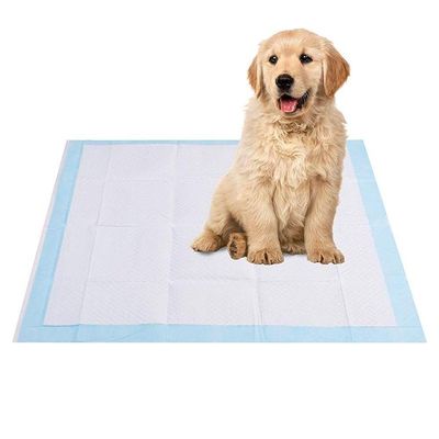 Tapete Higiênico Cão Cachorro Absorvente Treinamento