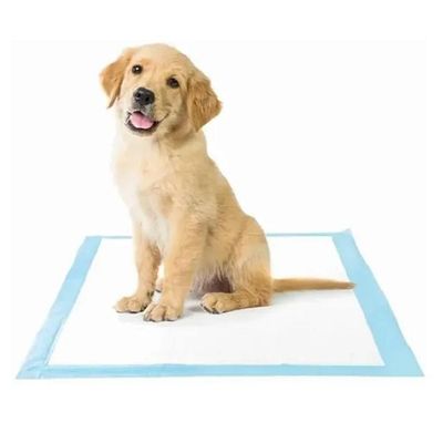Tapete Higiênico Cão Cachorro Absorvente Treinamento