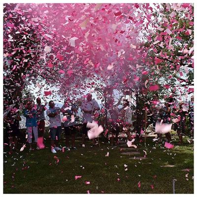 Lança Confete Chá Revelação Rosa 30cm