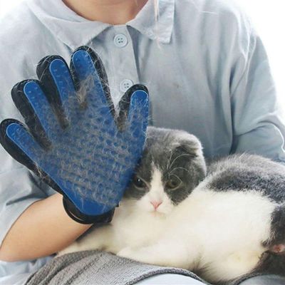 Luva De Limpeza Tira Pelo Para Cães E Gatos My Pet Prana
