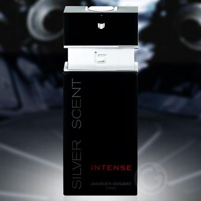 Perfume Silver Scent Intense Masculino Eau De Toilette 100ml Jacques